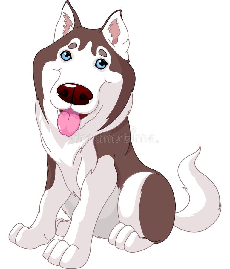 Cute husky vector illustration Cute husky vector illustration