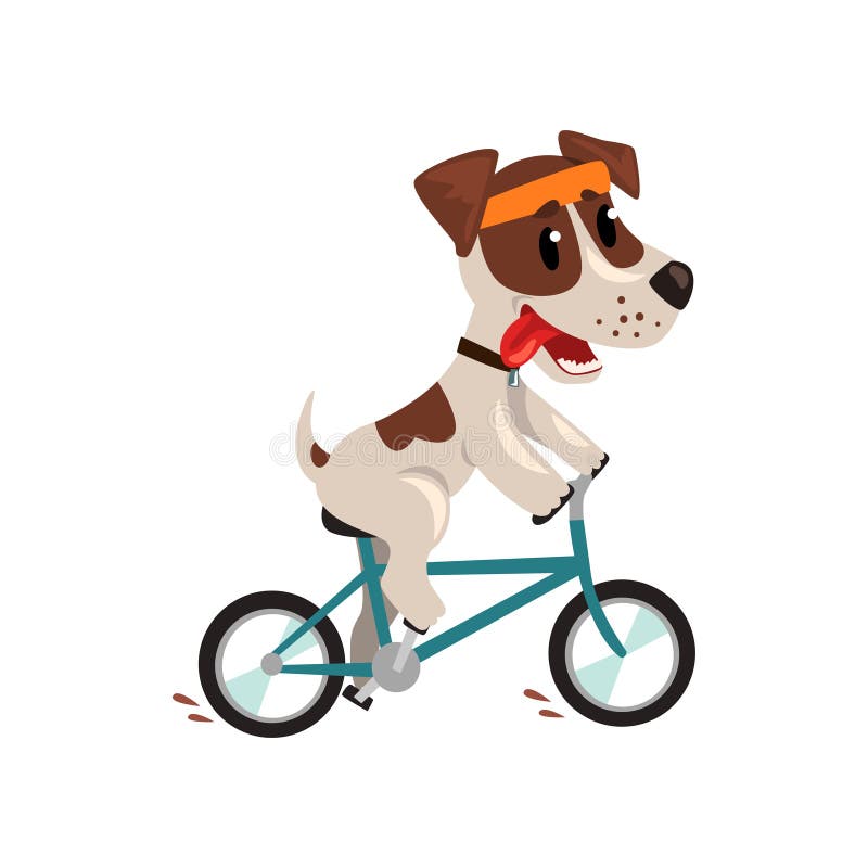 Cute jack russell terrier athlete riding a bike, funny sportive pet dog character doing sports vector Illustration on a