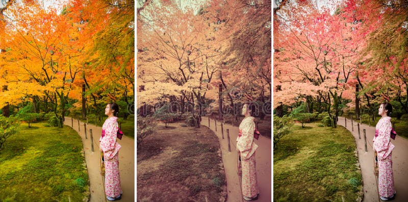 Cute Japanese girl is standing calmly in autumn wilderness lands