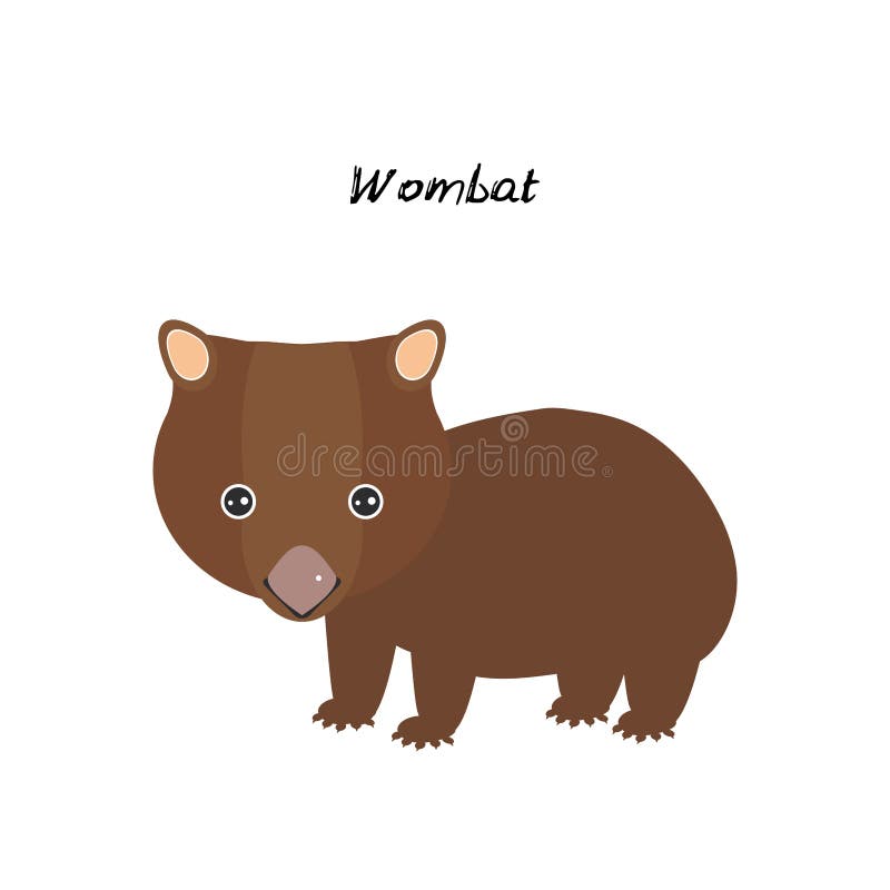 Wombat Isolated on White Background. Cute Native Australian Wildlife Stock Vector - Illustration of smile, creature: 144393809 Wombat Isolated on White Background. Cute Native Australian Wildlife Stock Vector - Illustration of smile, creature: 144393809