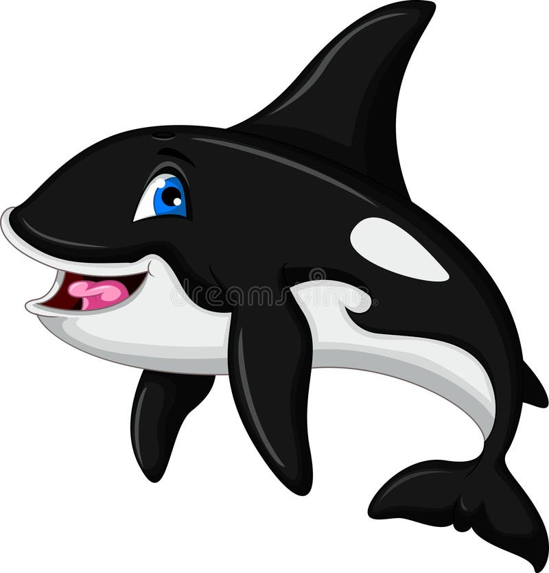 Cute killer whale cartoon stock illustration. Illustration of mammal