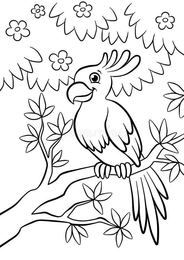 Parrot Tree Stock Illustrations 4482 Parrot Tree Stock