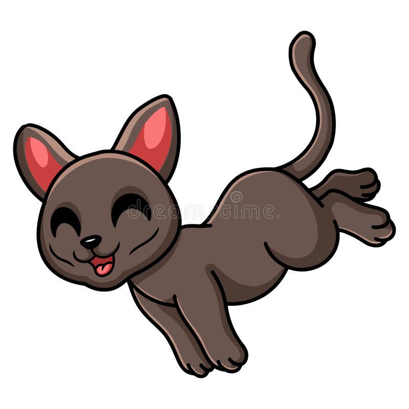 Cute Korat Cat Cartoon Jumping Stock Vector - Illustration of mascot ...