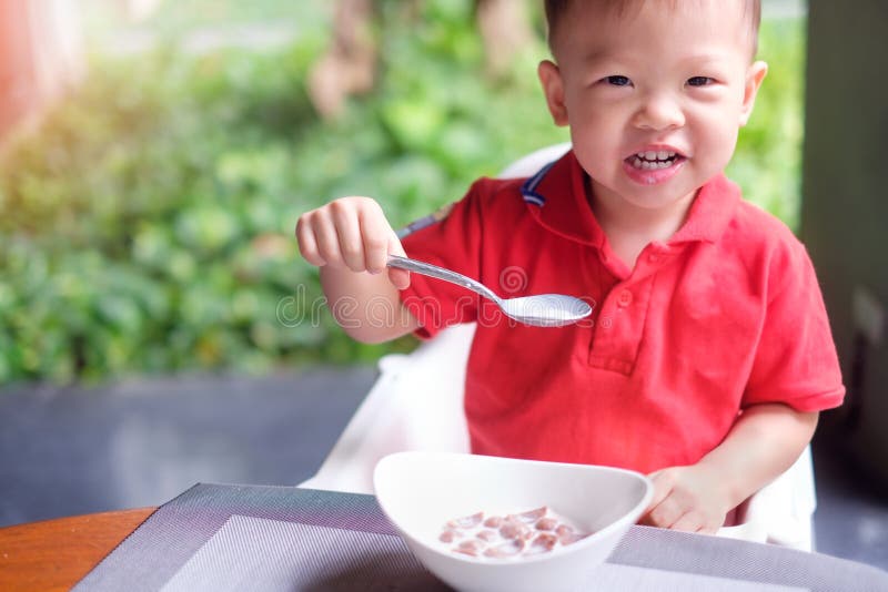 Asian 2 years old toddler baby boy child wearing red shirt use spoon eating chocolate cereal breakfast