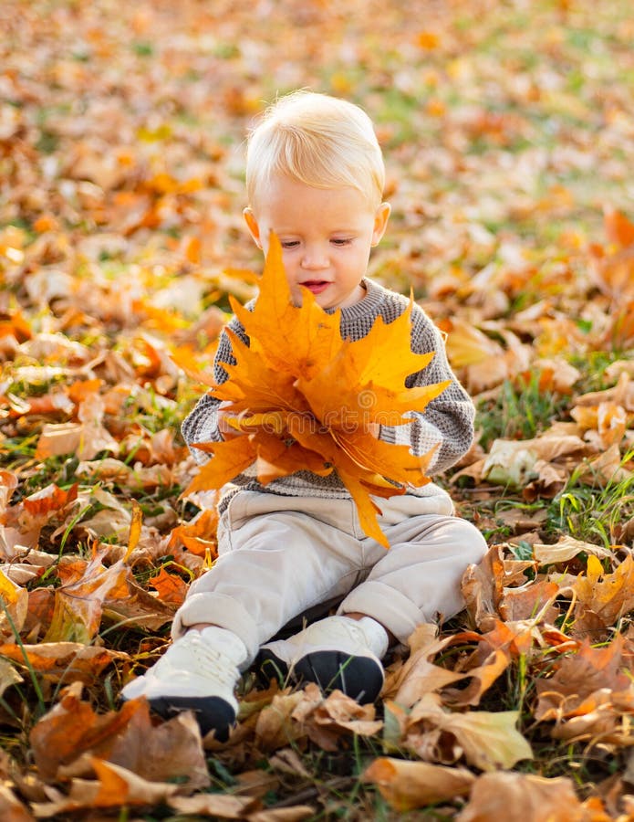 Cute little baby child playing in the autumn on the nature. Sunny autumn day. Autumnal leisure time. Happy baby boy with royalty free stock image Cute little baby child playing in the autumn on the nature. Sunny autumn day. Autumnal leisure time. Happy baby boy with royalty free stock image