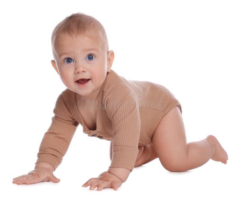 Cute Little Baby Crawling on White Background Stock Photo Image of
