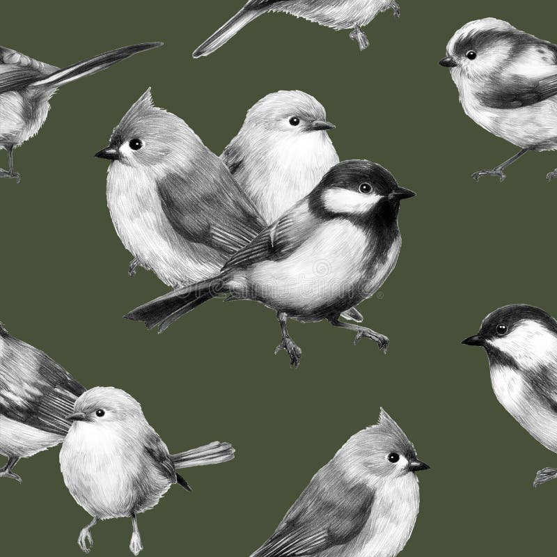 Cute Little Bird Pencil Drawing Print Illustration Groups Of Birds