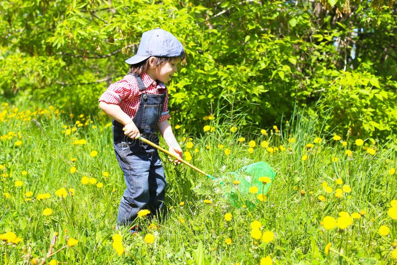 Мальчик наловил 8 жуков. Мальчик с сачком. Дети ловят бабочек. Ловить бабочек сачком. Фотосессия мальчик с сачком.