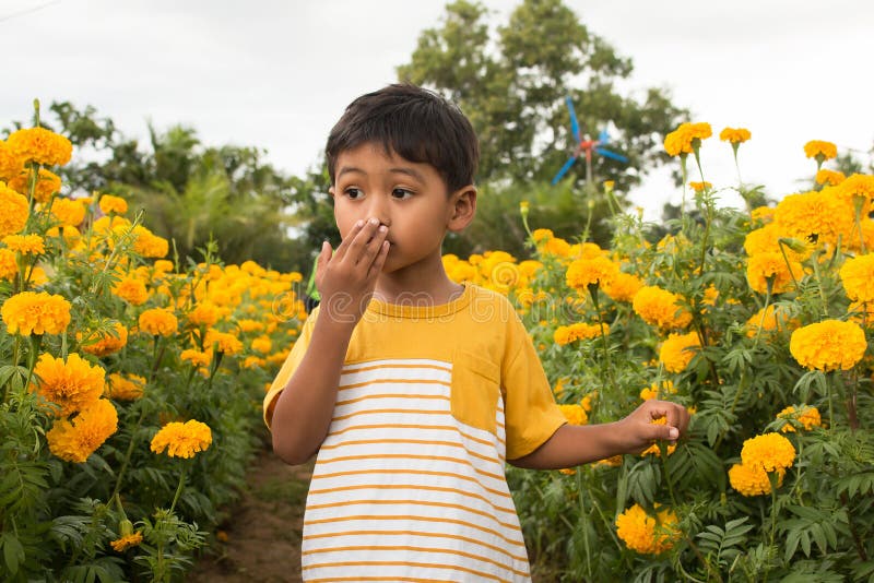 Cute little boy with marigold flower royalty free stock photography