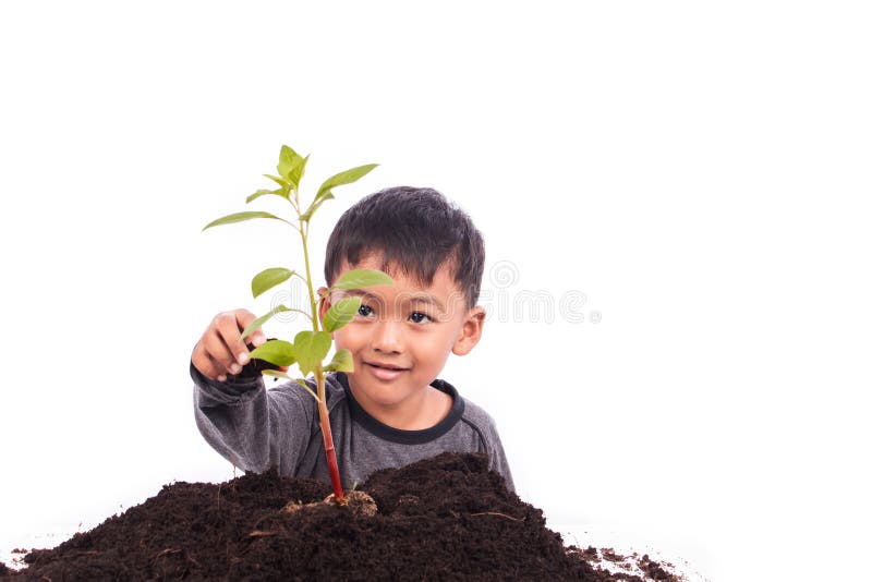 Cute little boy planting tree stock photo
