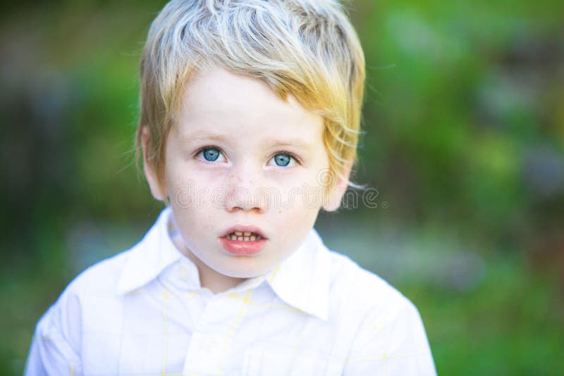 Cute little boy. stock photo. Image of little, alert 36185146