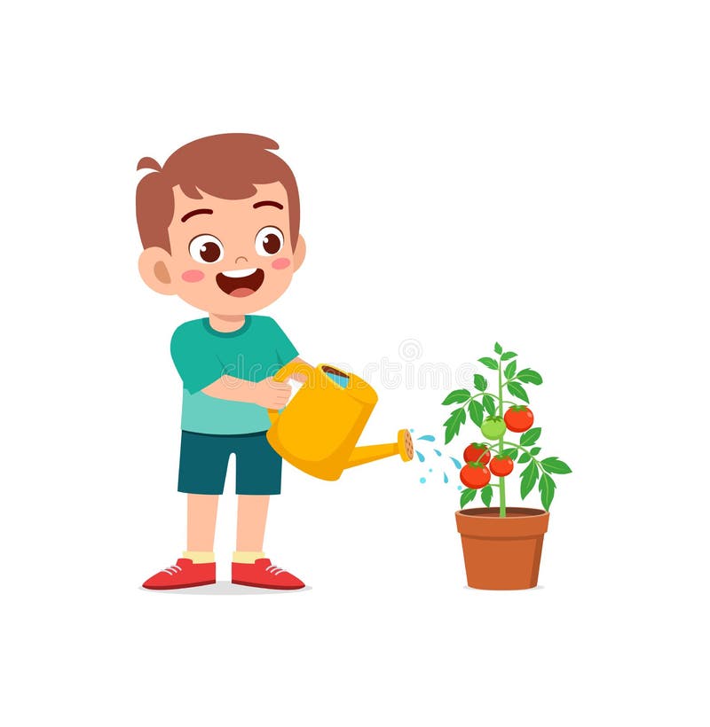 Cute little boy stand and watering tomato tree vector illustration