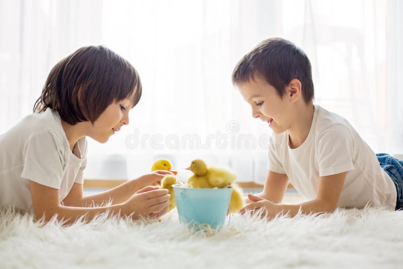 Cute Little Children, Boy Brothers, Playing with Duckling Spring Stock ...