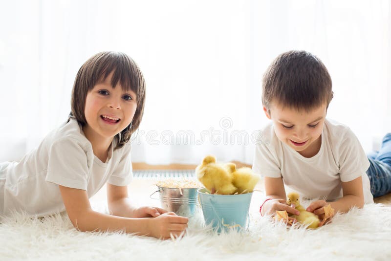 Cute Little Children, Boy Brothers, Playing with Ducklings Springtime ...