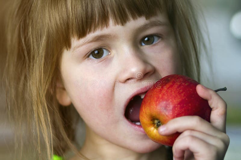 A cute little curly toothless girl smiles and holds a red apple. Portrait of a happy baby eating a red apple. The child loses milk