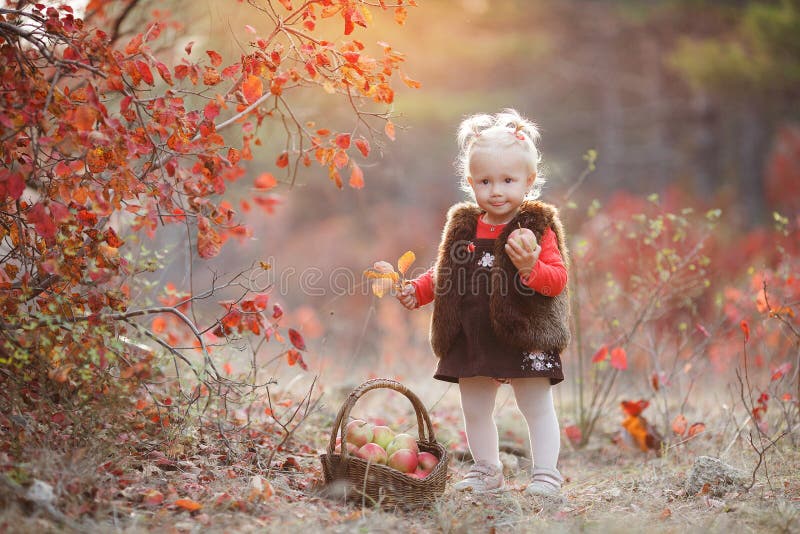 Cute little girl with a basket of red apples in the fall in the park