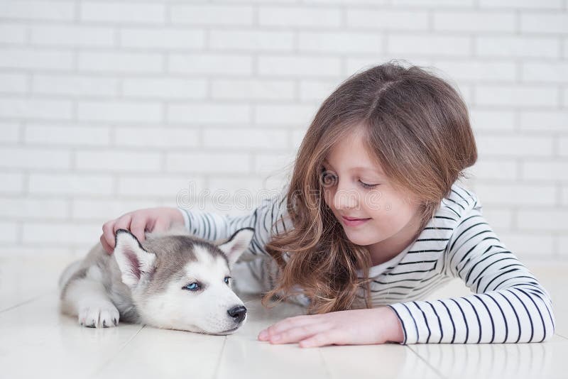 Cute little girl hugging husky puppy on a white background royalty free stock photo Cute little girl hugging husky puppy on a white background royalty free stock photo