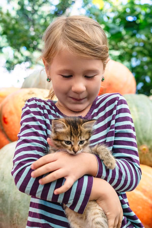Cute Little Girl with Kitten Stock Image Image of emotions, natural