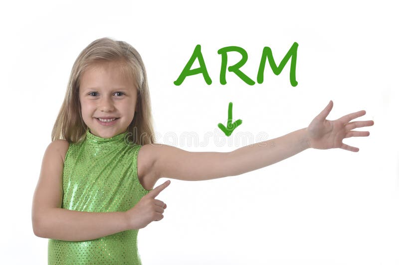 Cute little girl pointing her arm in body parts learning English words at school stock photo Cute little girl pointing her arm in body parts learning English words at school stock photo