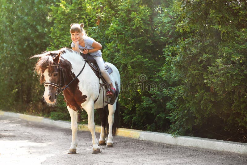 Cute Little Girl Riding Pony in Park Stock Photo - Image of domestic ...