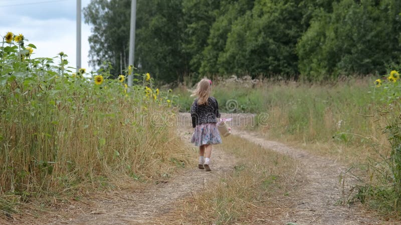 little adorable toddler walking on country road in the summer