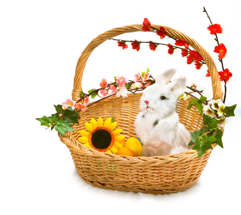 Cute little rabbit in basket