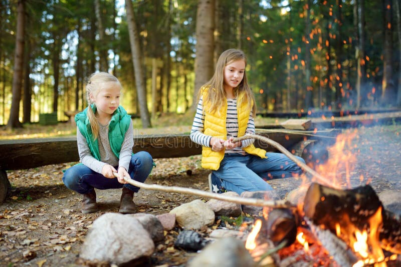 Cute Little Sisters Roasting Hotdogs on Sticks at Bonfire. Children ...