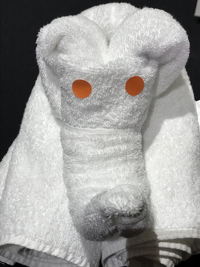 Towel Folding Animals stock image Image of absorb cute 139236507