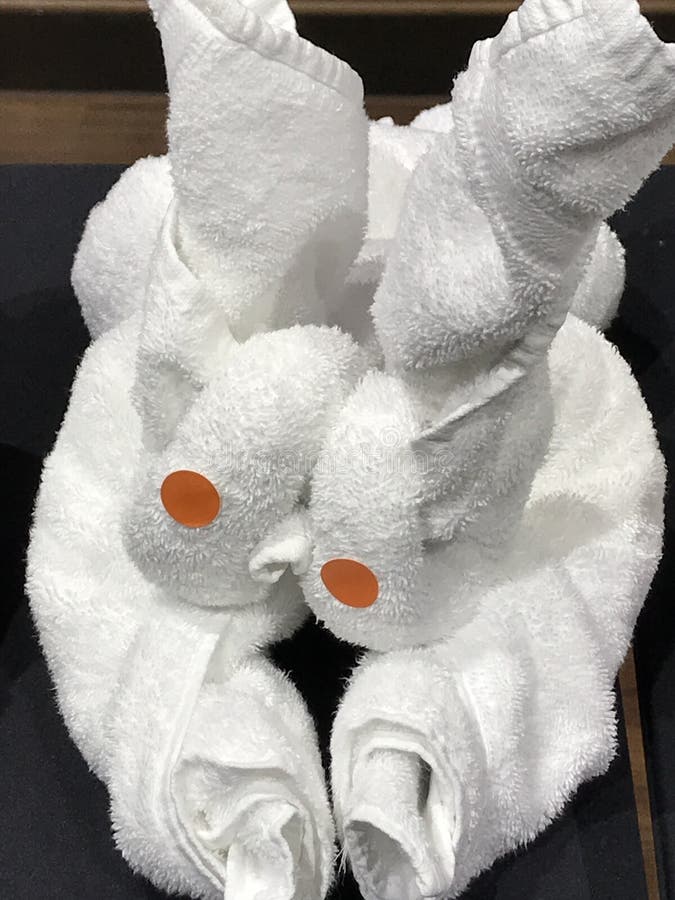 Towel Folding Animals stock photo. Image of animal, hotel 139236514