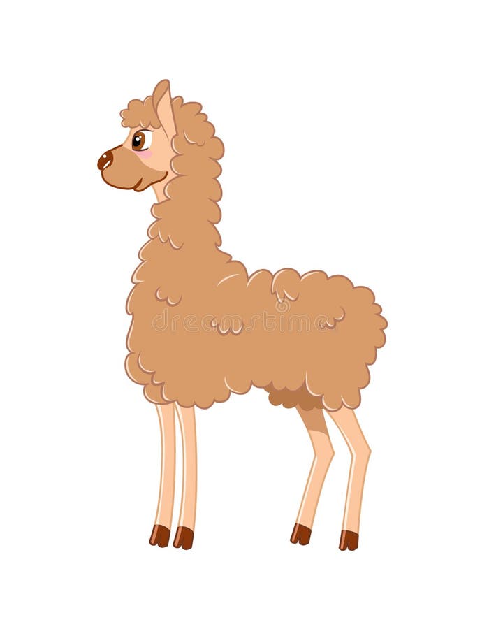 Cute Llama Facing Front. Llama, Vicuna, Huanaco -clip Art. Stock Photo ...