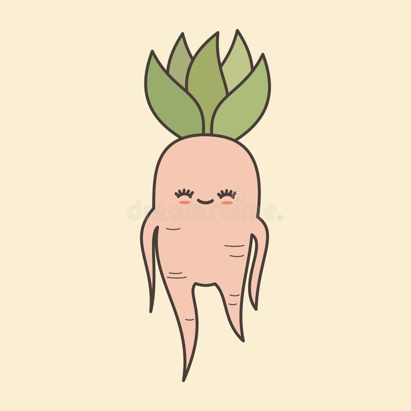 130+ Mandrake Stock Illustrations, Royalty-Free Vector Graphics & Clip Art  - iStock