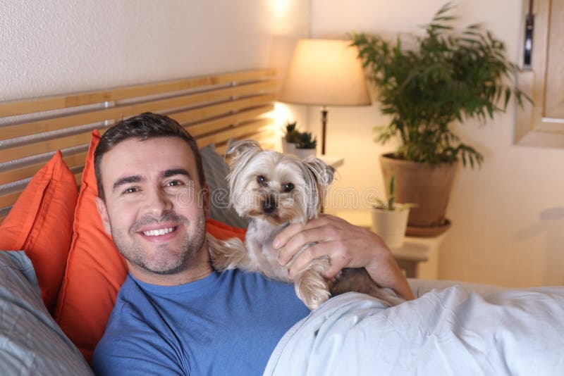 Cute man sharing bed with small dog royalty free stock images
