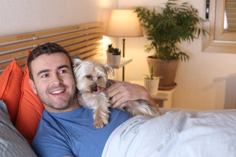 Cute Man Sharing Bed with Small Dog Stock Image Image of happy