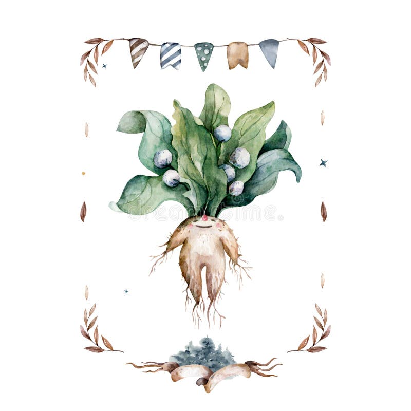 Cute lovely cartoon mandrake roots illustration seamless vector