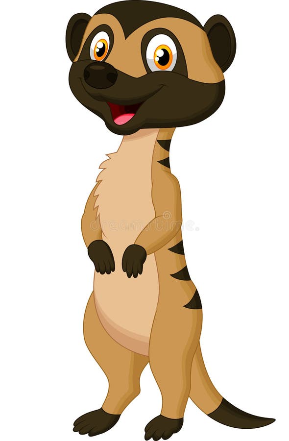 Cute meerkat cartoon stock illustration Cute meerkat cartoon stock illustration