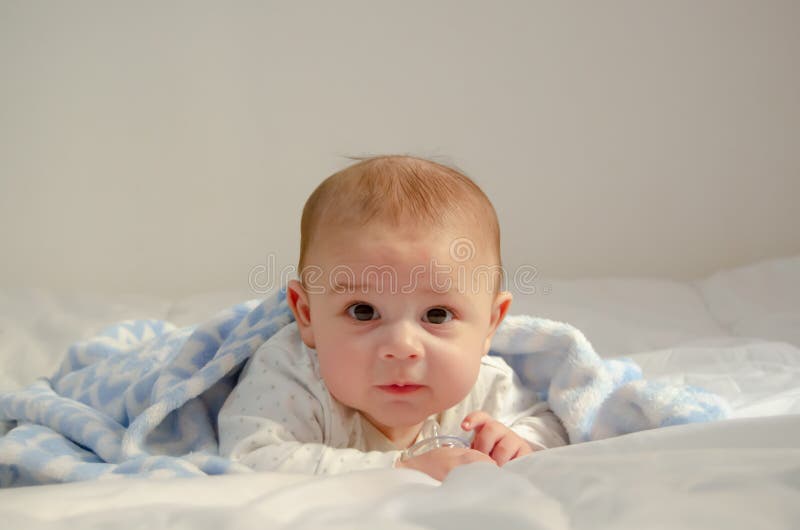 Cute 4 months old baby boy having tummy time on white quilt covered with blue blanket royalty free stock photos Cute 4 months old baby boy having tummy time on white quilt covered with blue blanket royalty free stock photos