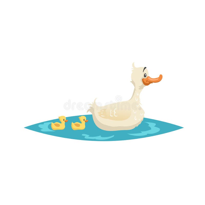 Cute mother duck swim with ducklings on little lake. Farm animals. Cartoon style vector illustration for child education
