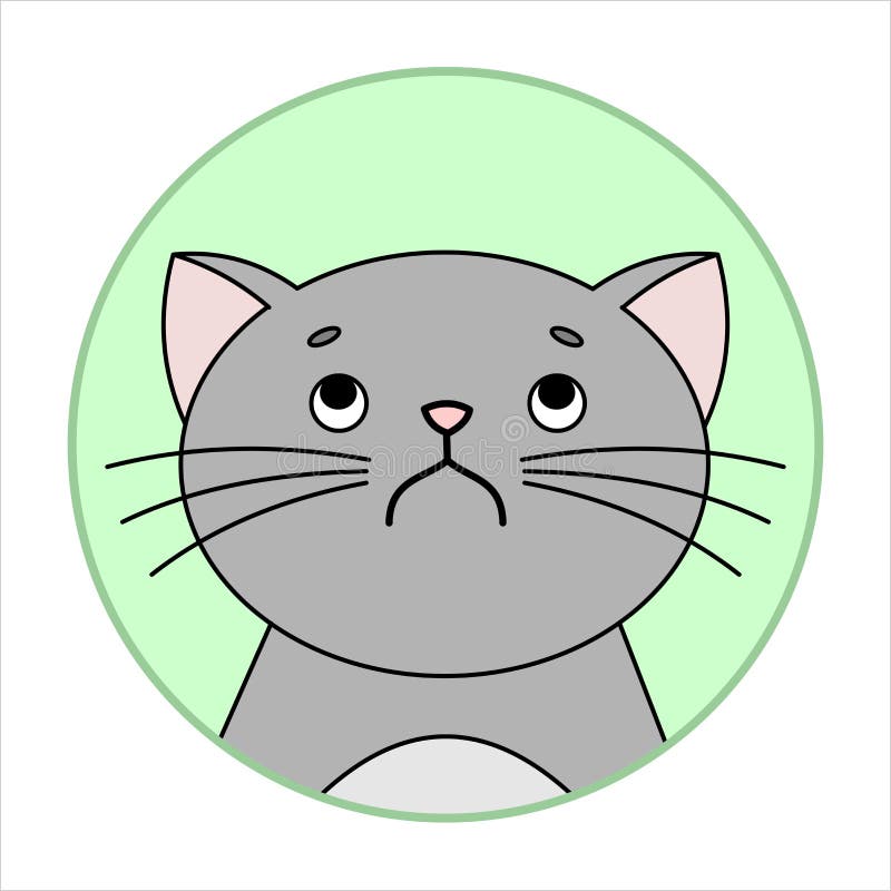 Shy Grumpy Cat. Meme Cat Isolated Whitebackground Stock Vector