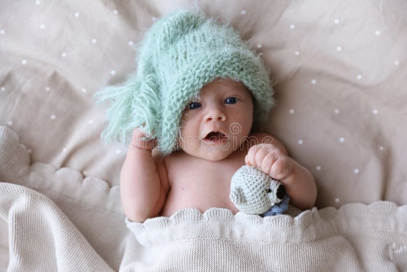 2 008 Bear Baby Born Stock Photos Free Royalty Free Stock Photos from Dreamstime Page 16