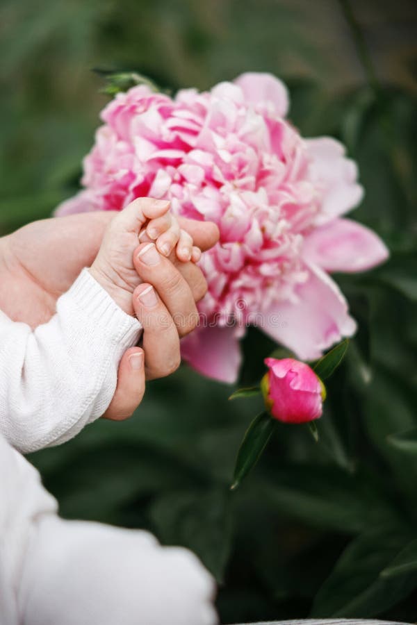 Cute newborn hand i moderhänderna, som ligger nära blommorna i trädgården. Kärleksvård och familj på landsbygden. Glad royaltyfria bilder
