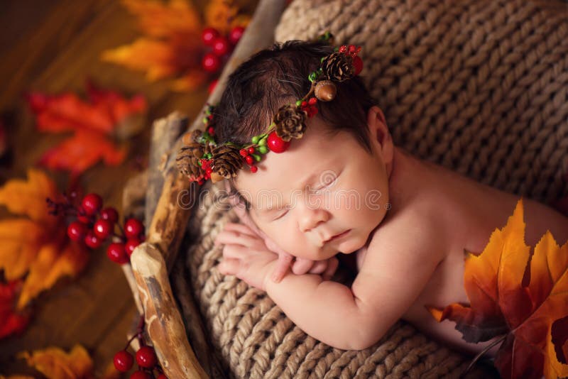 Cute newborn in a wreath of cones and berries in a wooden nest with autumn leaves. royalty free stock images Cute newborn in a wreath of cones and berries in a wooden nest with autumn leaves. royalty free stock images