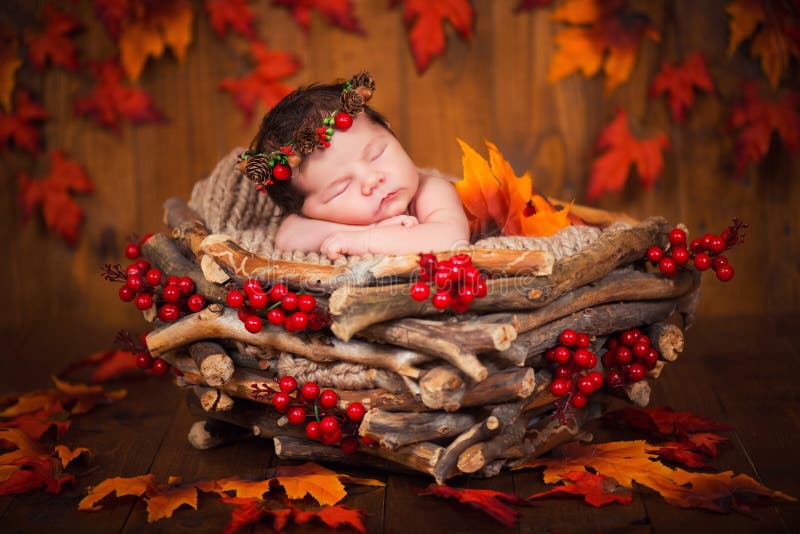 Cute newborn in a wreath of cones and berries in a wooden nest with autumn leaves.