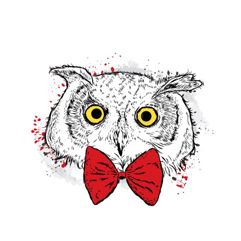 https://thumbs.dreamstime.com/b/cute-owl-glasses-tie-vector-illustration-card-poster-print-clothes-bird-fashion-style-104329369.jpg