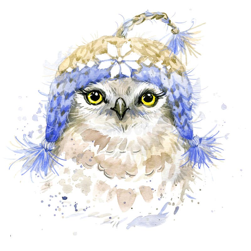 Cartoon owl. Vector illustration of cute owl. Drawing birds for children.  Zoo for kids. Stock Vector | Adobe Stock