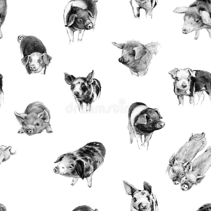 Cute pig seamless pattern. piggy pencil sketch illustration. farms animal. Cute domestic pet