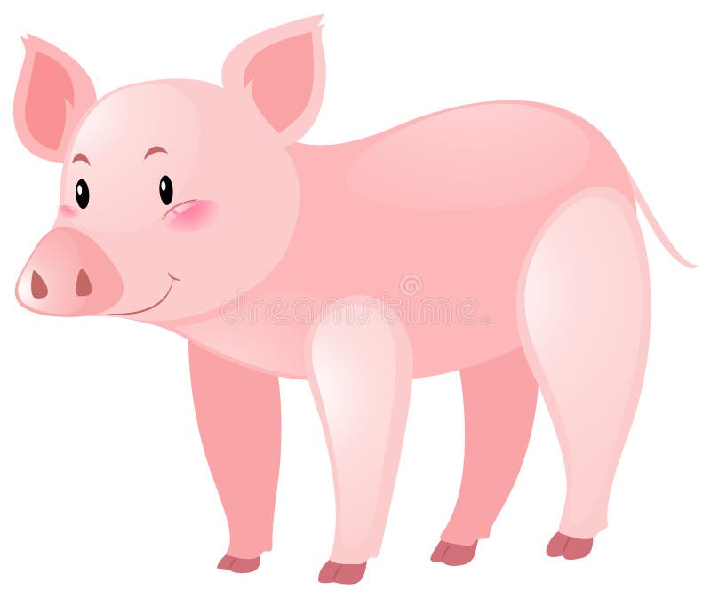 Cute Pig on White Background Stock Vector Illustration of simple