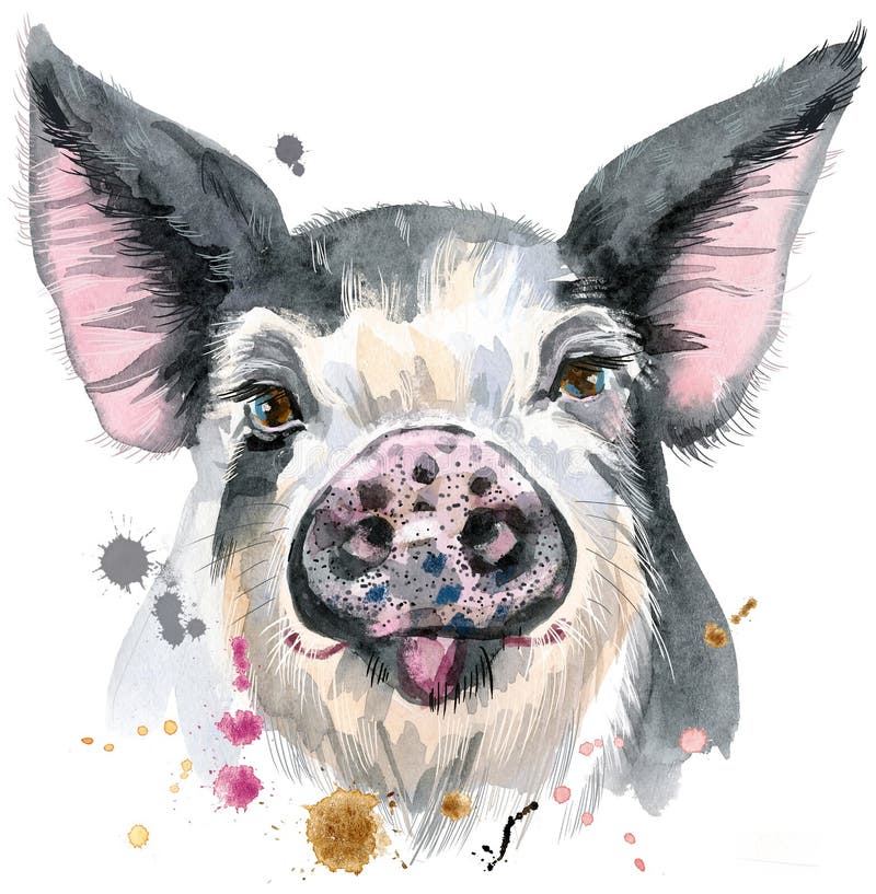 Download Watercolor portrait of pig stock illustration. Illustration of background - 114217173