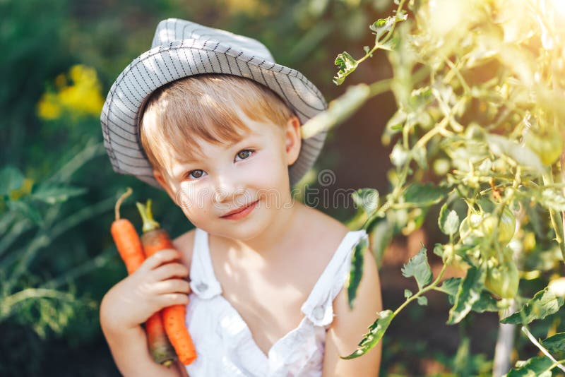Cute-pojken i hatt och fritidskläder som sitter runt tomater och tittar pÃ¥ kameran, barnmodell som dyker upp i trädgÃ¥rden royaltyfri bild Cute-pojken i hatt och fritidskläder som sitter runt tomater och tittar pÃ¥ kameran, barnmodell som dyker upp i trädgÃ¥rden royaltyfri bild
