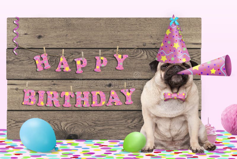 Cute pug puppy dog with pink party hat and horn and wooden sign with text happy birthday