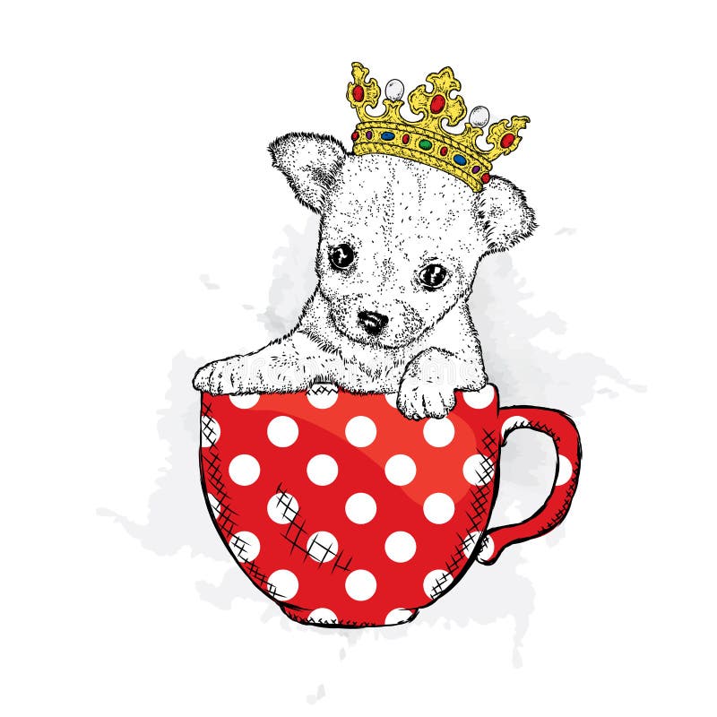 A cute puppy with a crown sits in cup. Vetch illustration for postcard or poster, print on clothes. Pedigree dog. Chihuahua. vector illustration A cute puppy with a crown sits in cup. Vetch illustration for postcard or poster, print on clothes. Pedigree dog. Chihuahua. vector illustration